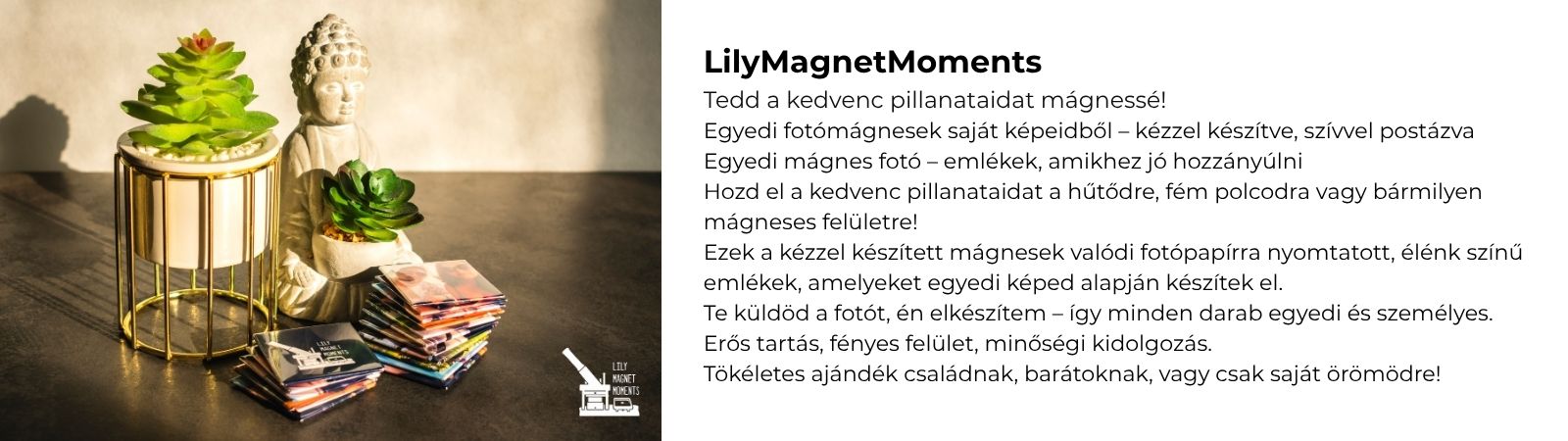 LilyMagnetMoments